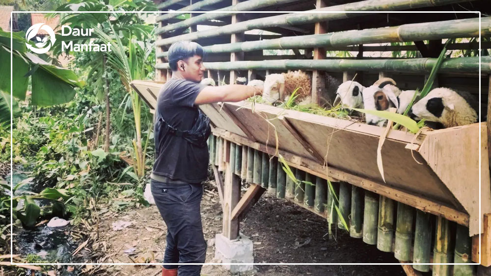 Daur Manfaat Pangan: Dari Material Orgnik Menjadi Ketahanan Pangan Berkelanjutan